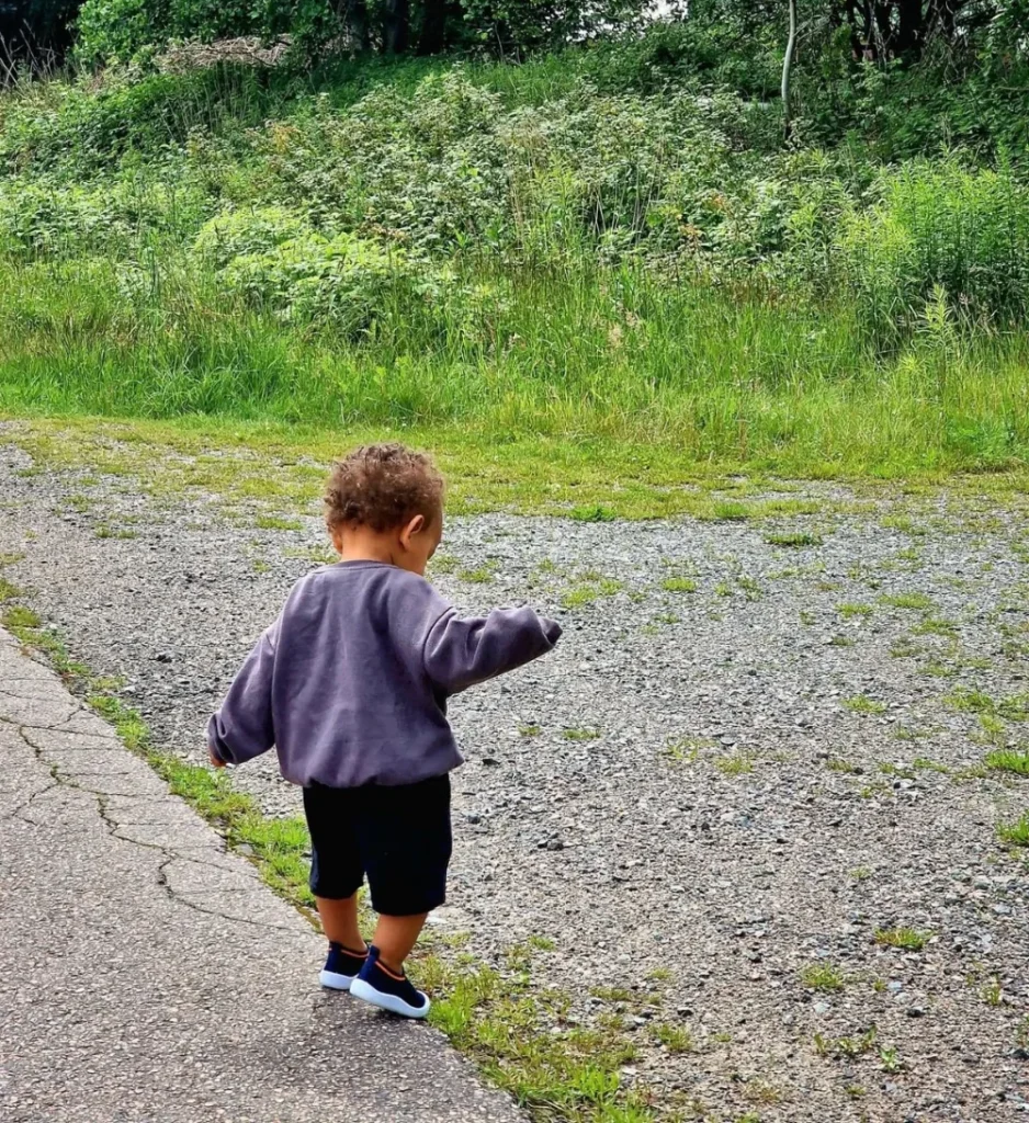 Little Explorer's Adventure