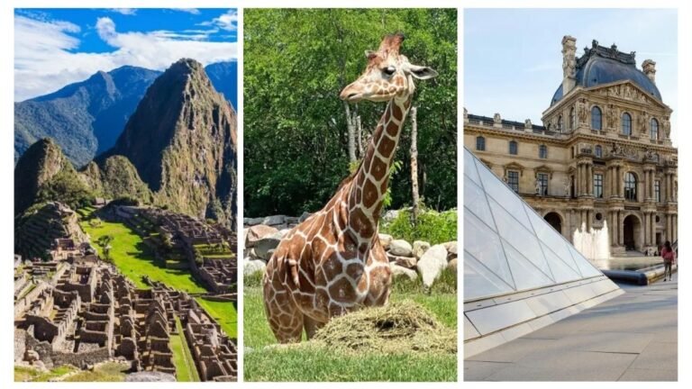 40 Exciting Virtual Field Trips for Kids Around the World