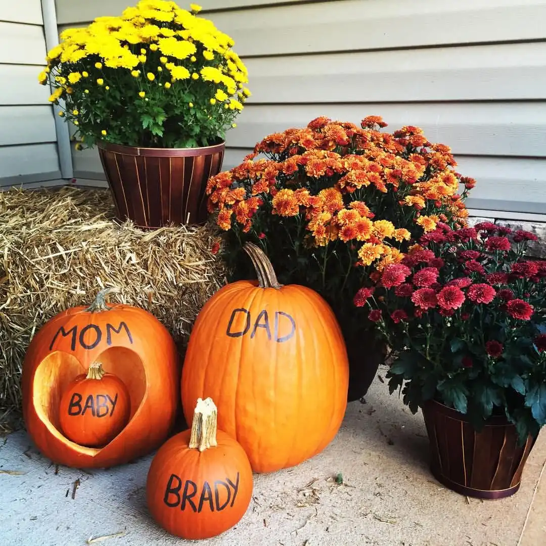 The Growing Patch Pumpkin Family