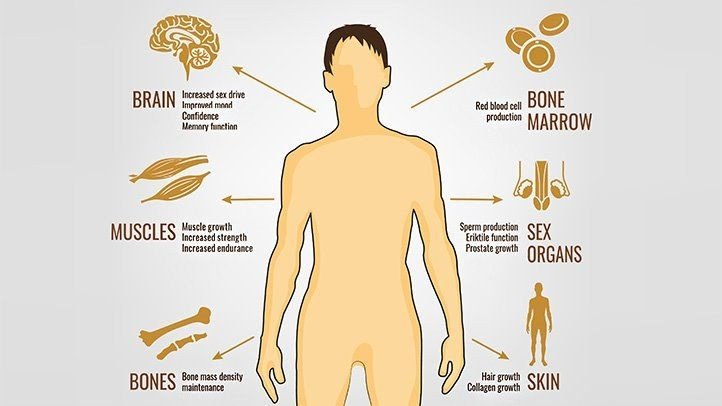 A Man Has Low Testosterone or Other Hormonal Problems