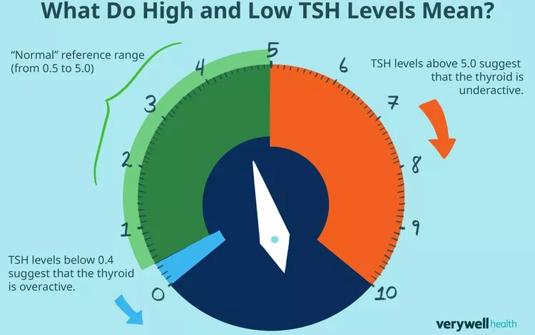A Slightly Abnormal Thyroid Test Does Not Always Mean Medication