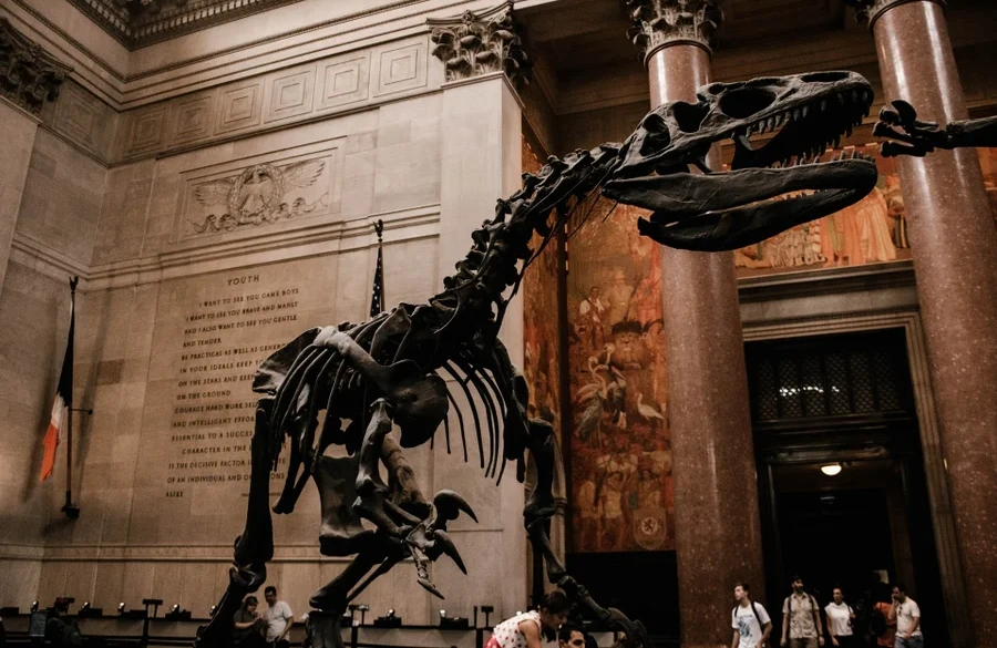 American Museum of Natural History OLogy
