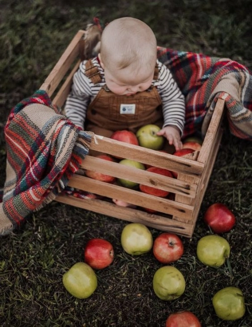 Apple Crate Harvest Baby
