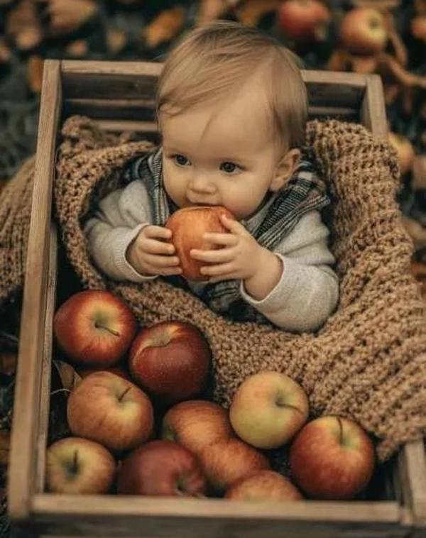Apple Munching Adventure