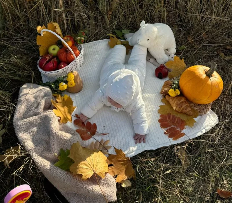 Autumn Picnic with Teddy Bear Companion