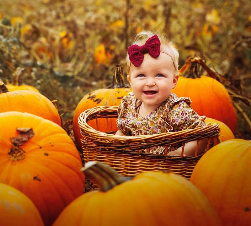 Baby in Basket with Pumpkins
