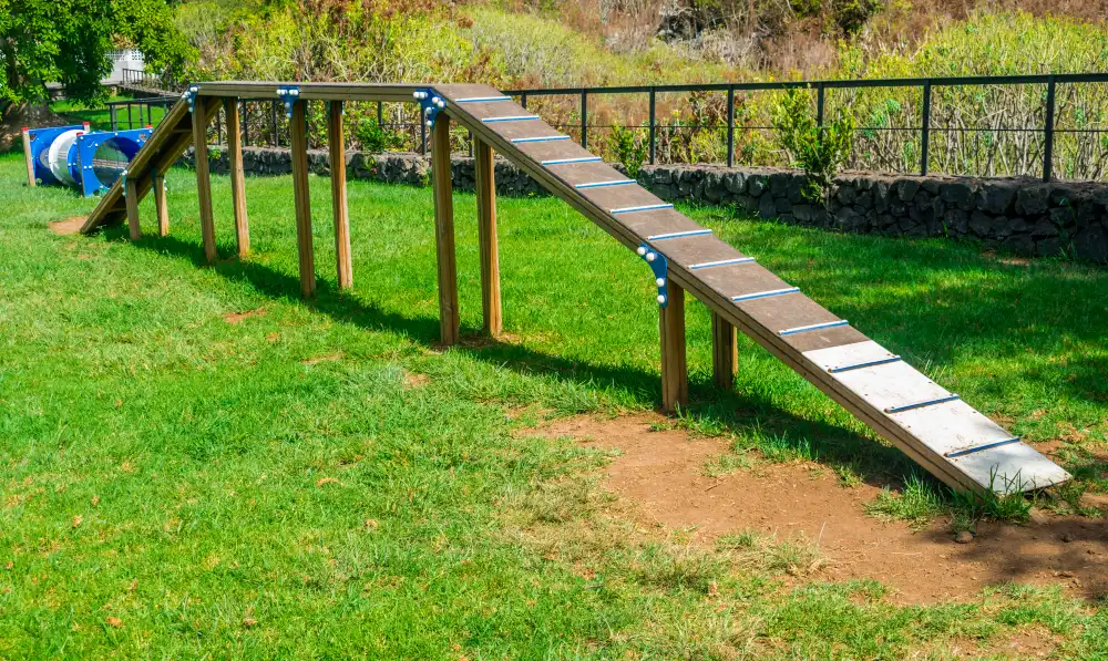  Backyard Balance Beam Bridge with Blue Accents