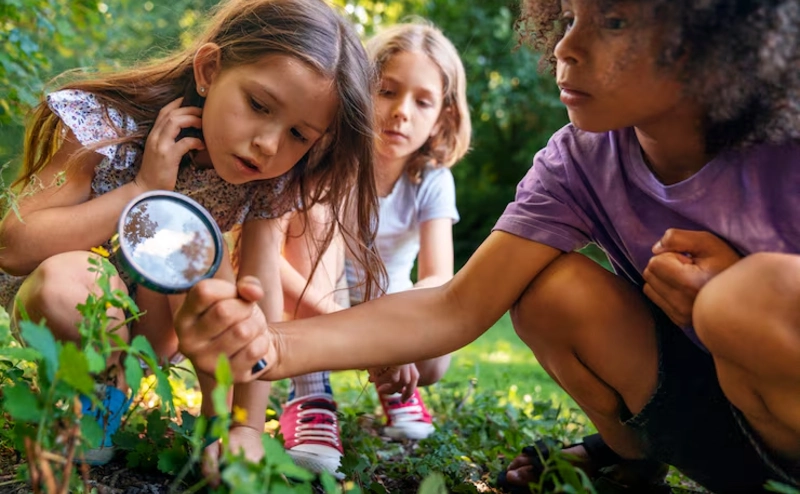 Backyard Nature Exploration