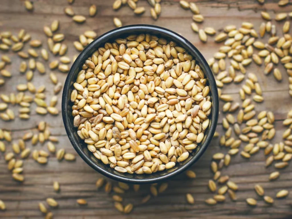 Barley