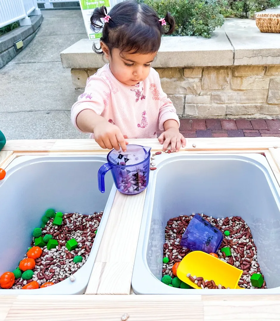 Bean Sensory Play