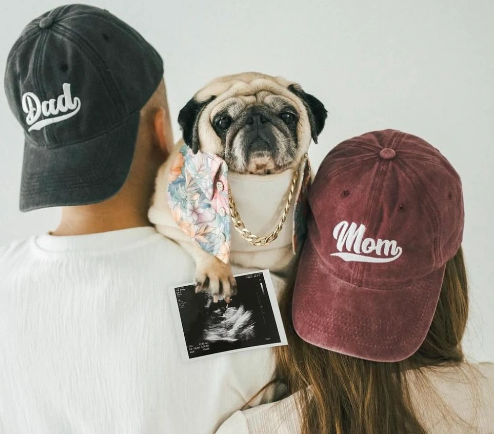 Big Bro Pug Promotion