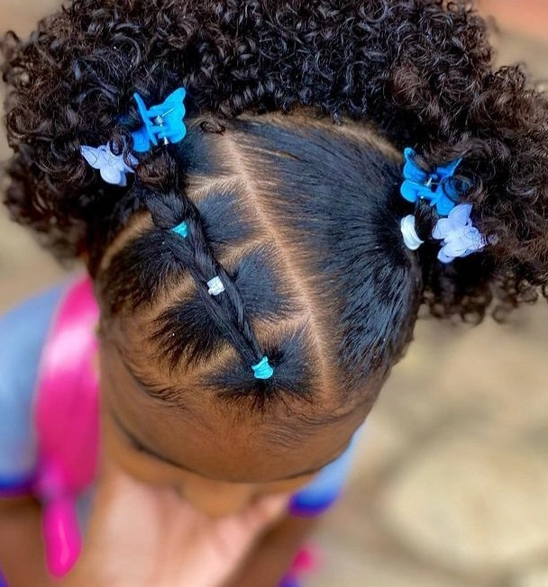 Blue Butterfly Sectioned Style