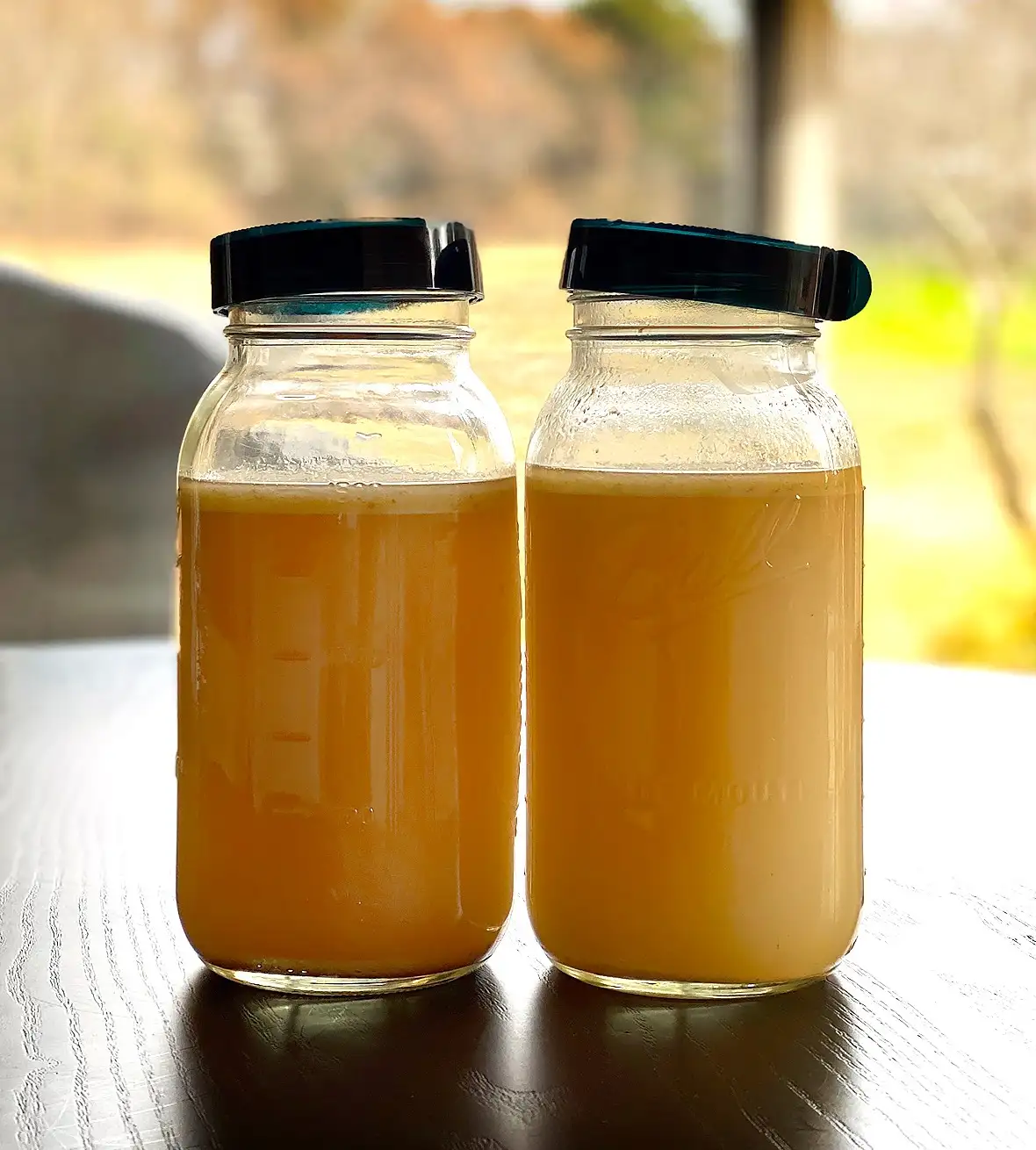 Bone Broth Turkey Gravy