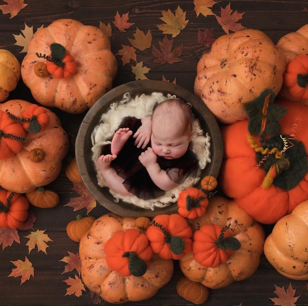 Bowl Surrounded by Pumpkins and Fall Leaves