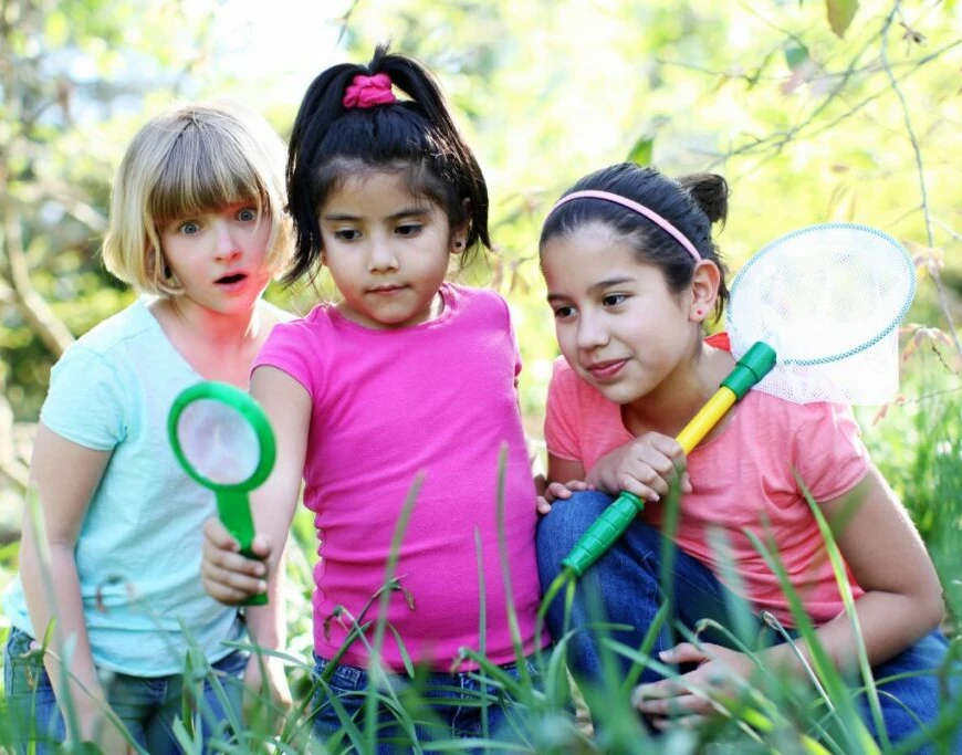 Bug Safari Expedition Team