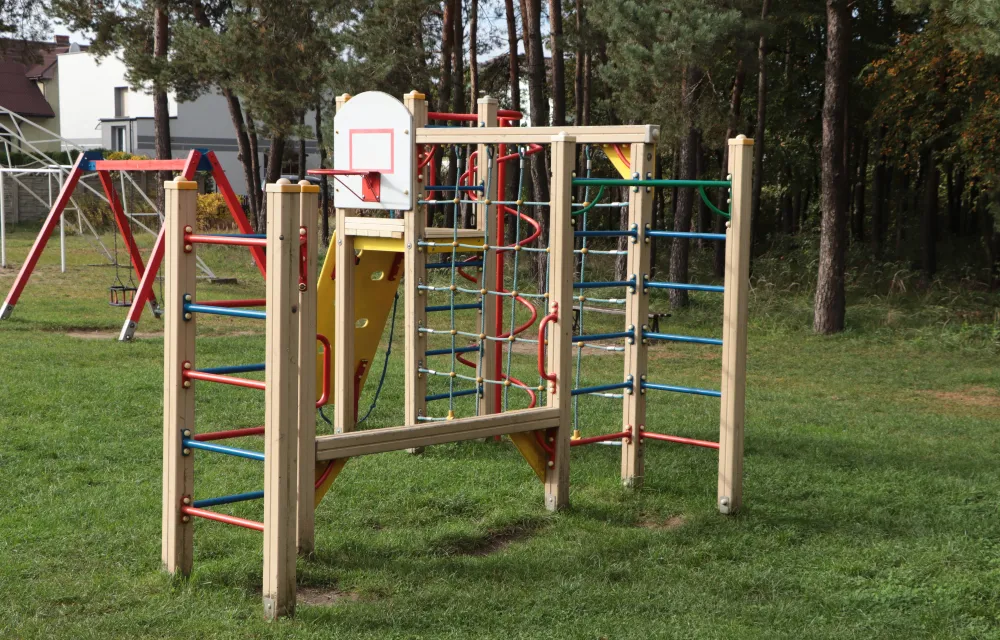 Colorful Backyard Jungle Gym with Basketball Hoop