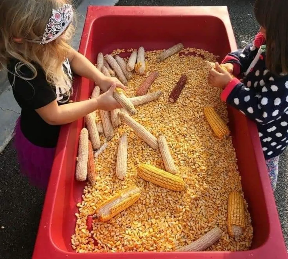 Corn Kernel Fall Play
