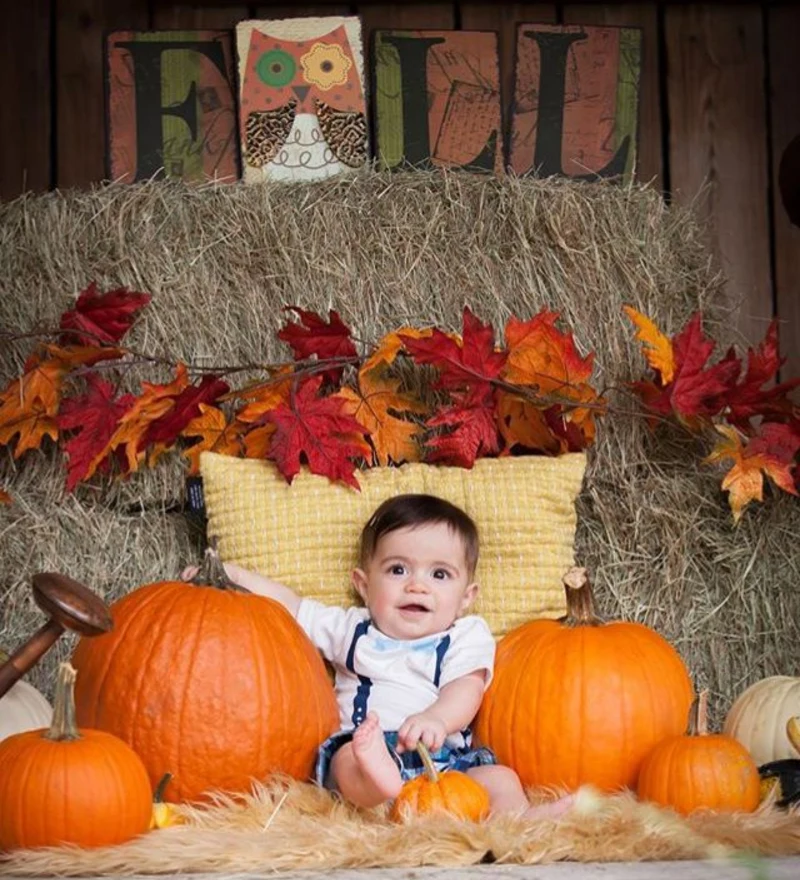 Country Farm Fall Harvest Portrait