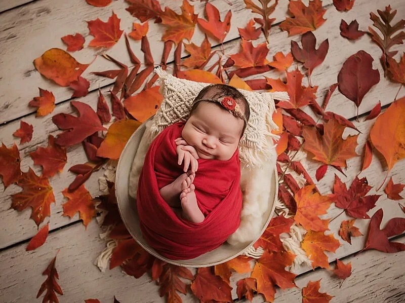 Crimson Cozy Autumn Nest