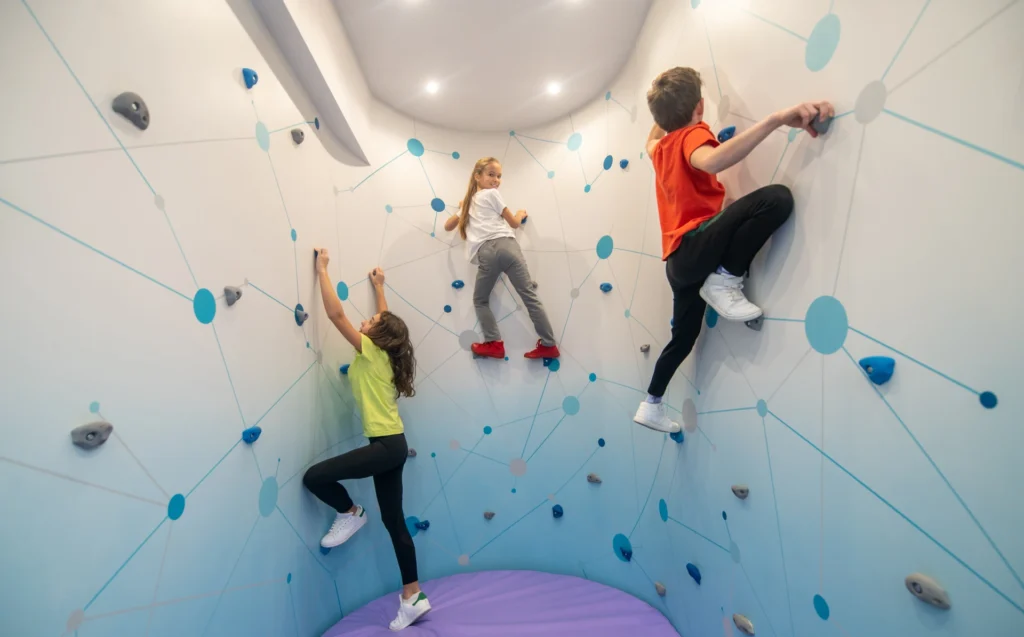DIY Indoor Rock Climbing Wall