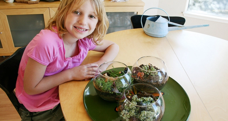 DIY Mini Terrariums