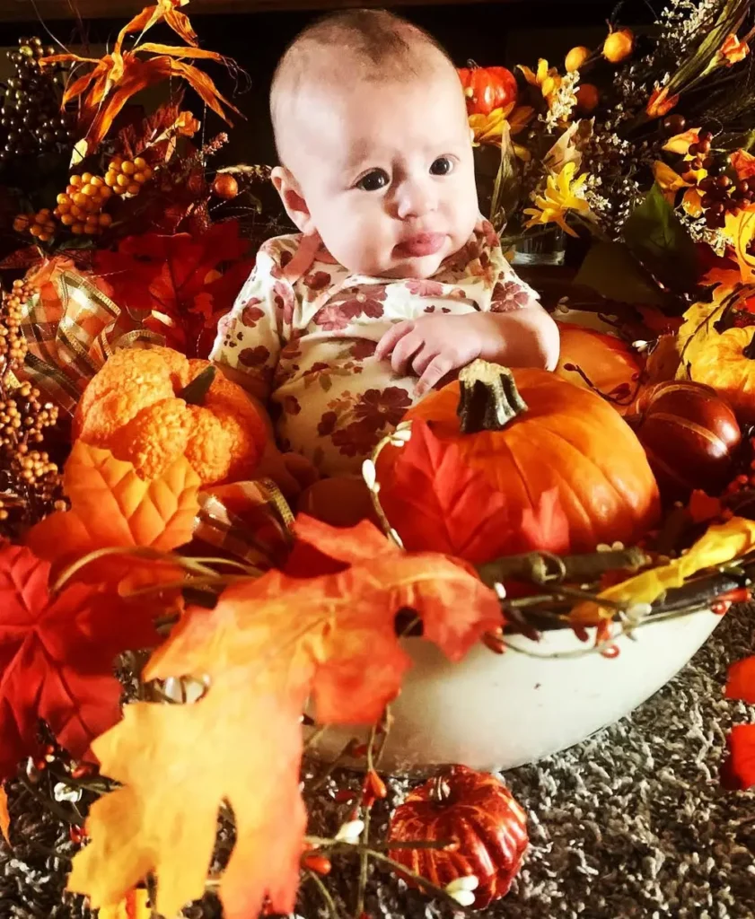 Decorative Florals & Berries