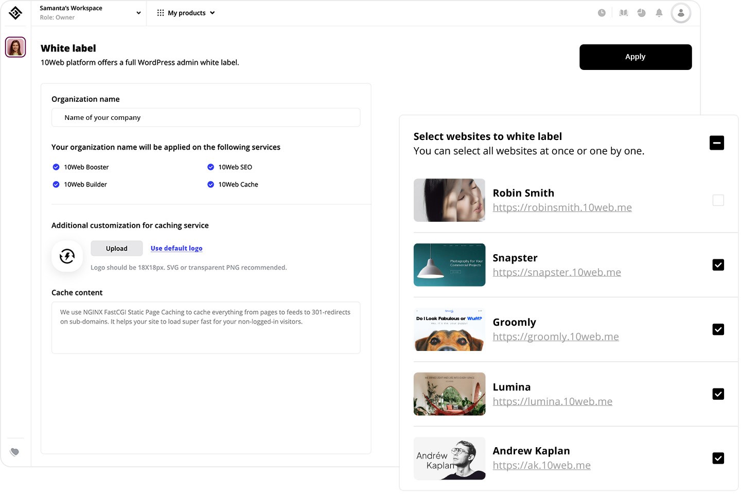 "Done-For-You" AI Website Templates