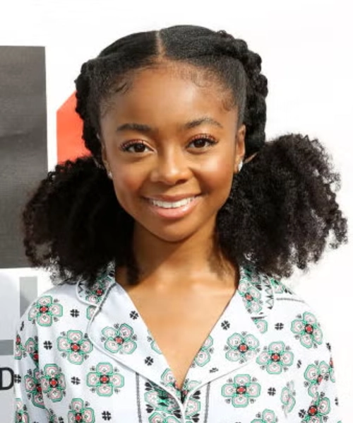 Double Puff Crown with Halo Braids