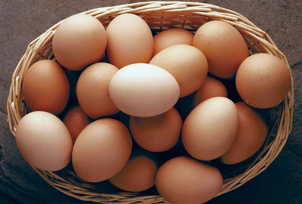 Eggs