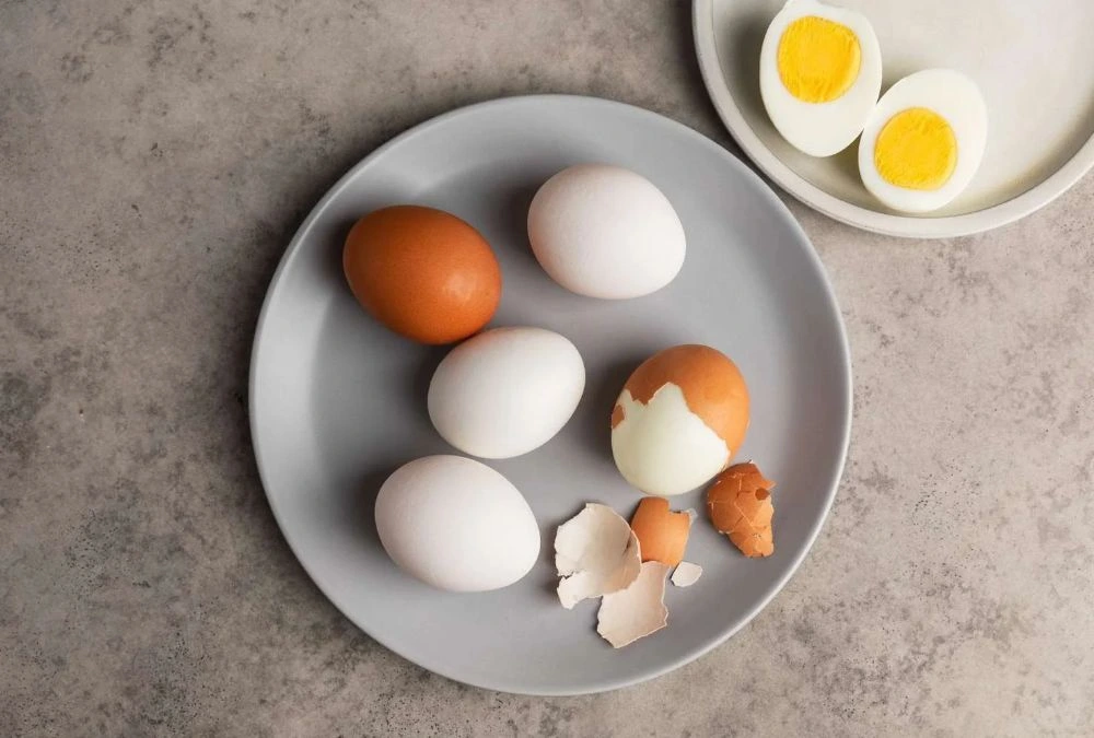 Eggs Provide Choline for Normal Brain Signaling