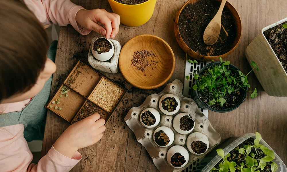 Eggshell Gardening for Kids