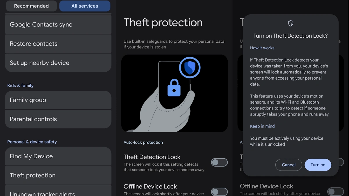 Enable Theft Protection Features