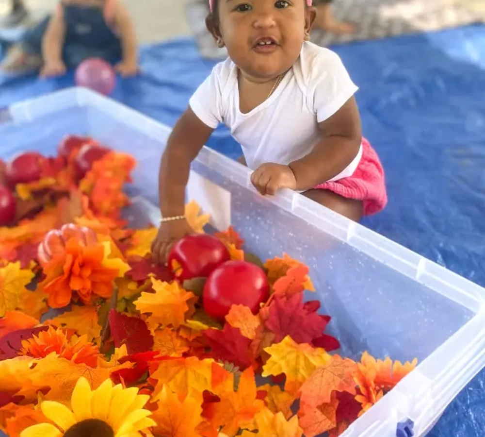 Fall Flower and Pumpkin Sensory Bin