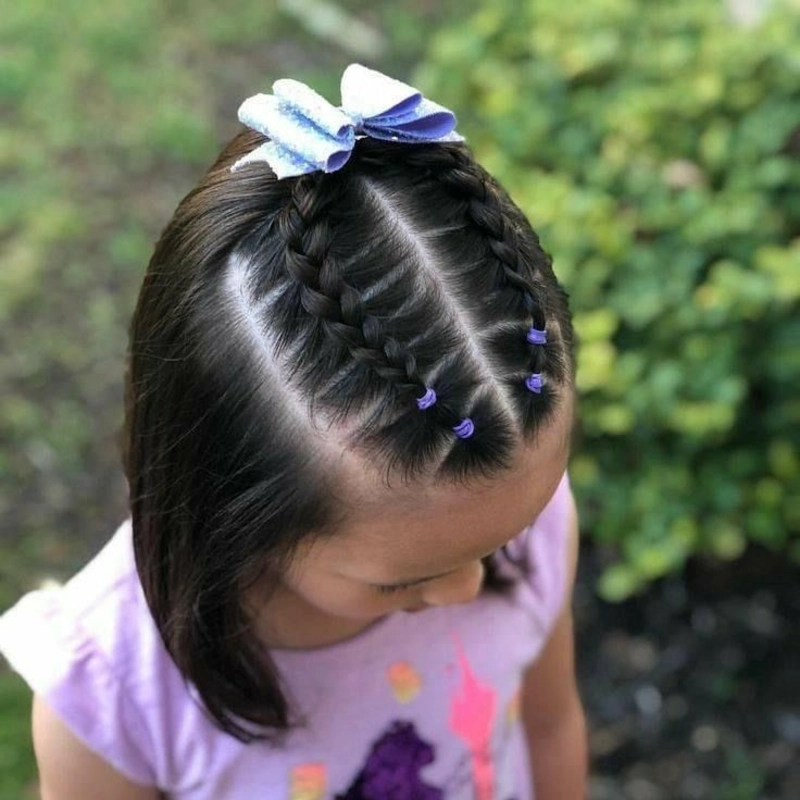 Girl Braided Hairstyle