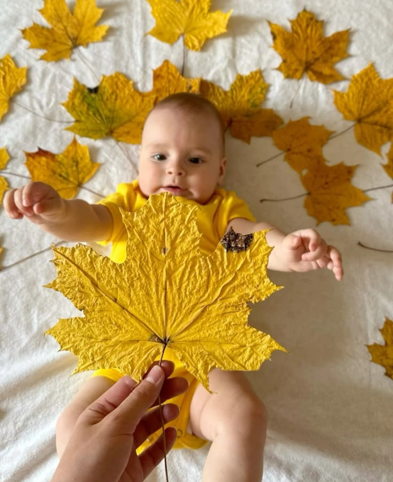 Golden Maple Leaf Portrait