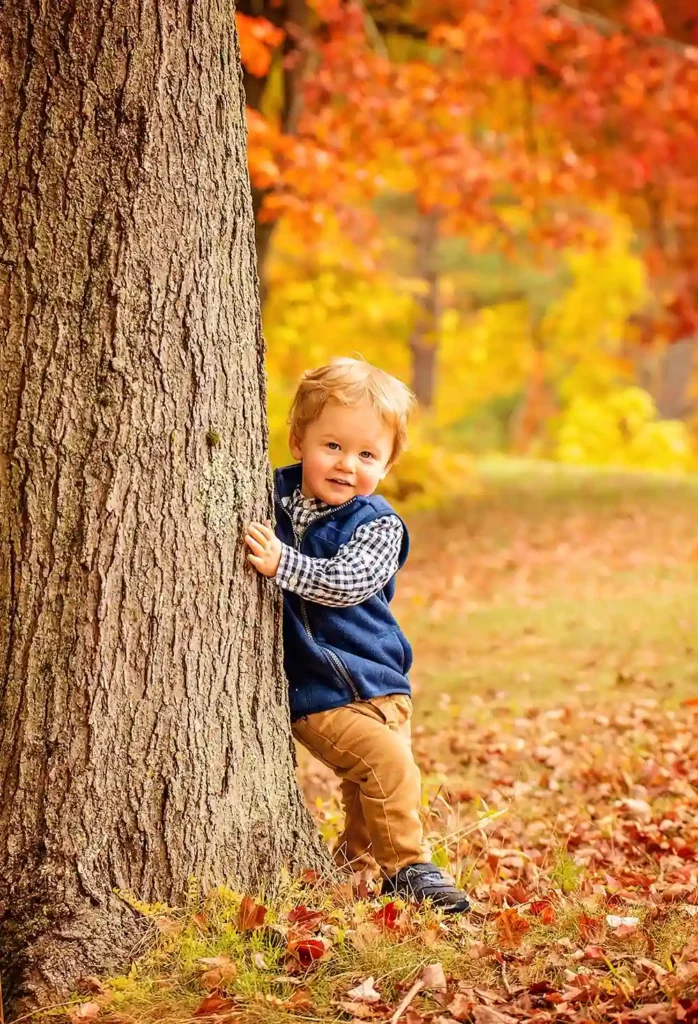 Golden Woods Peekaboo Toddler Behind Tree