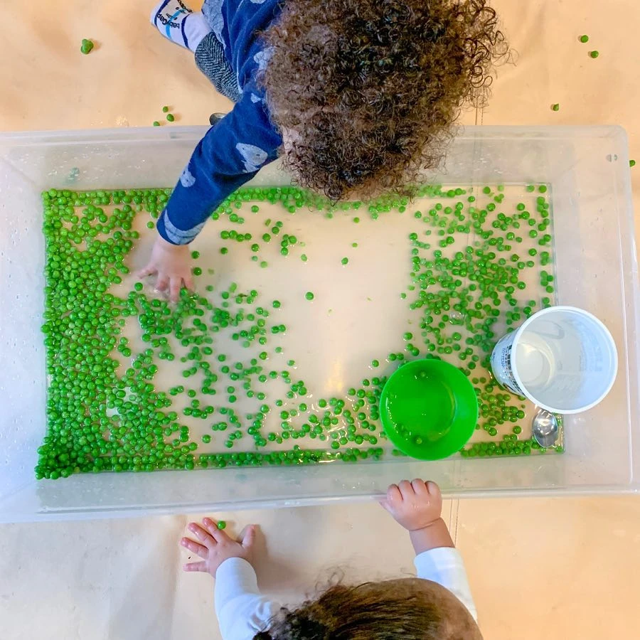 Green Pea Sensory Bin