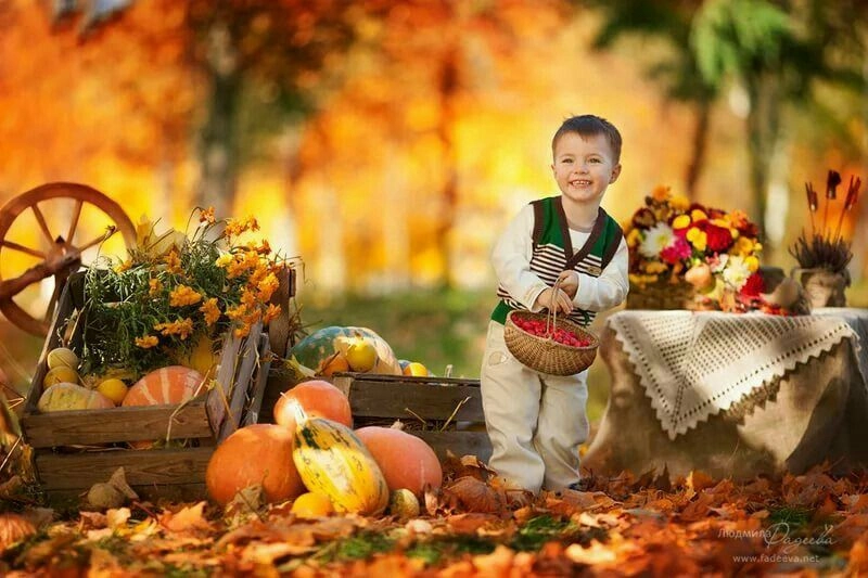 Harvest Festival Market Stall