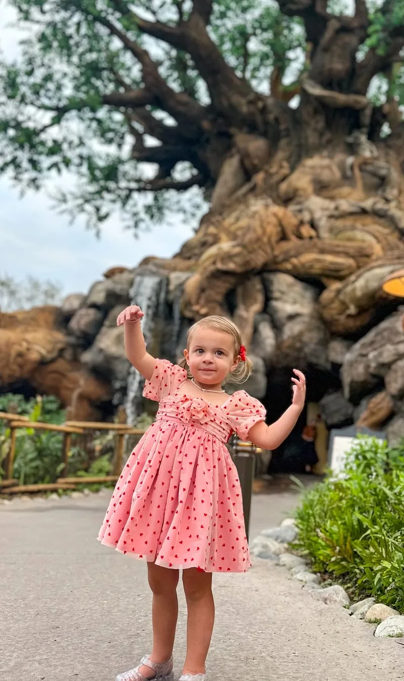 Heart-Dotted Dress for Animal Kingdom