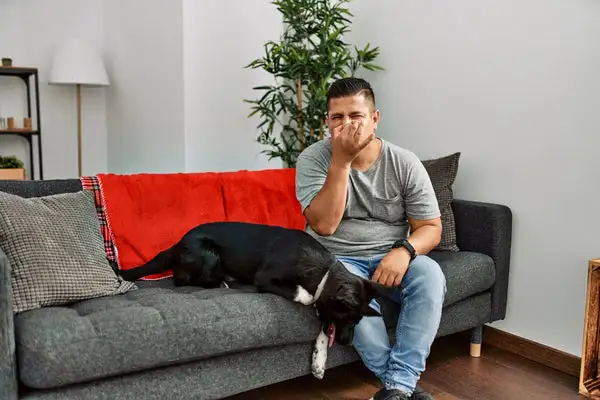 Household Pet Odors Go Unnoticed