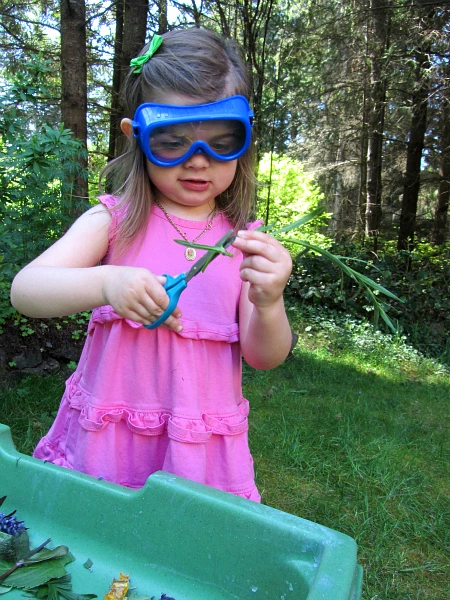 Junior Scientist Forest Expedition