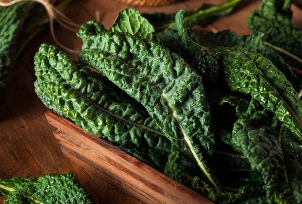 Kale Brings Several Nutrients Together in One Leafy Green