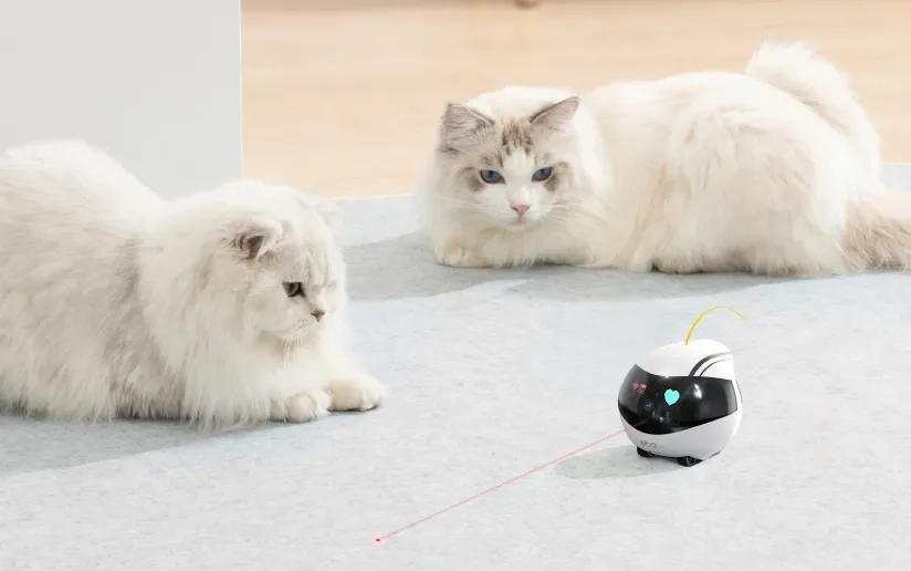 Laser Toy with AI