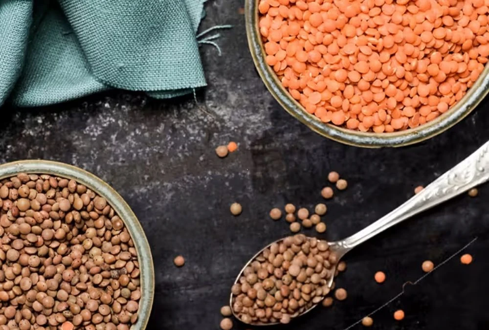 Lentils Offer Folate, Fiber, and Steady Nutrition