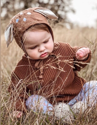 Little Deer in Golden Grass