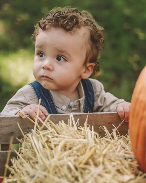 Little Farmer in the Hay Wagon