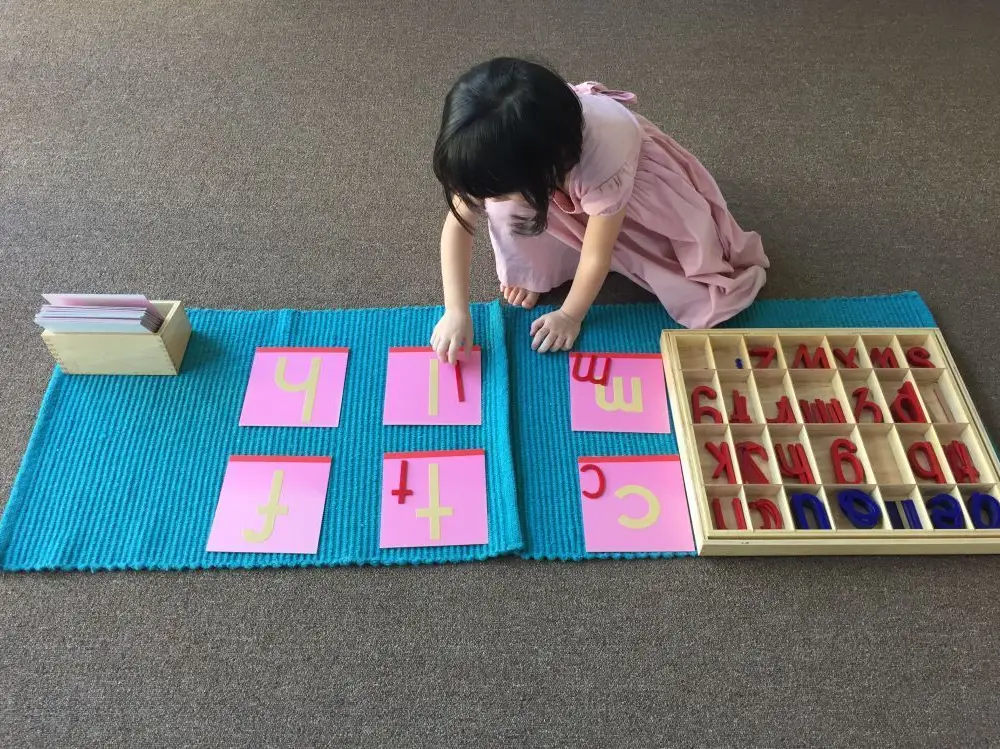 Moveable Alphabet and Letter Matching