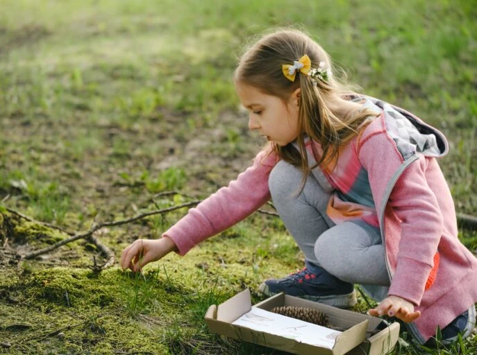 Nature Collection Adventure