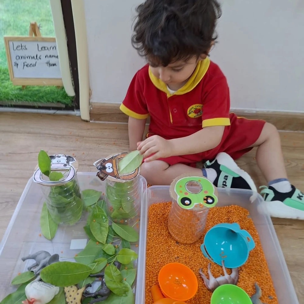Nature Sensory Activity