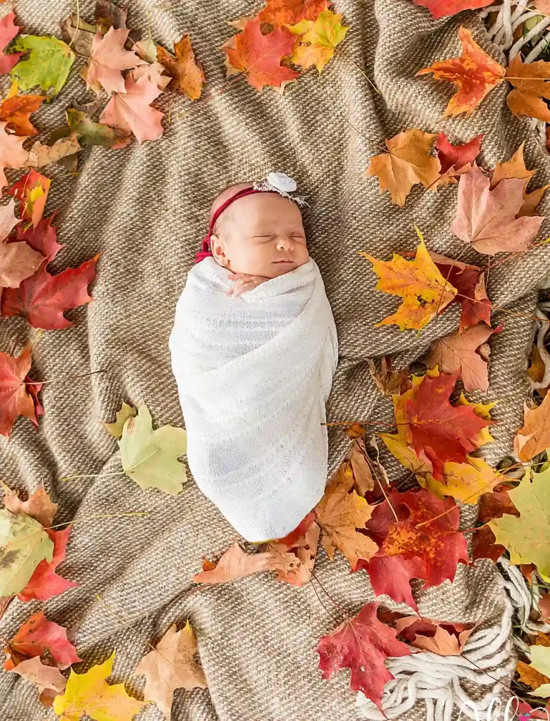 Newborn Wrapped in Fall Leaves